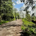 Harz-huette - Schnuckelig In St. Andreasberg 公寓 圣安德里斯伯格