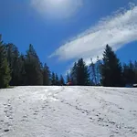 Harz-huette - Schnuckelig In St. Andreasberg Appartement
