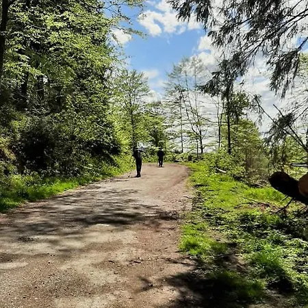 Harz-huette - Schnuckelig In St. Andreasberg Lejlighed Sankt Andreasberg