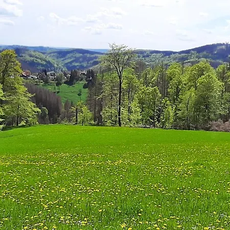 Appartement Harz-huette - Schnuckelig In St. Andreasberg Sankt Andreasberg