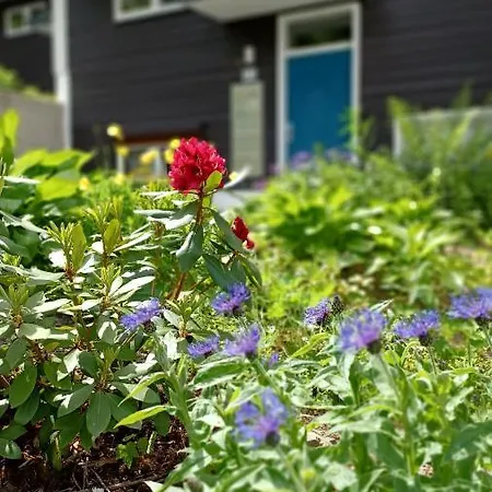 Harz-huette - Schnuckelig In St. Andreasberg Apartamento